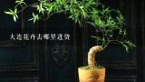 大连花卉去哪里进货,青州花卉批发一般都去哪里?怎么走?