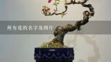 所有花的名字及图片,花大全图片及名称，家庭花卉图片及名称100种(一)