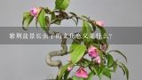 紫荆盆景长虫子的文化意义是什么?