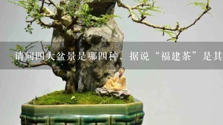 请问4大盆景是哪4种，据说“福建茶”是其中之1。