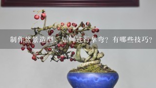 制作盆景造型，如何进行拿弯？有哪些技巧？