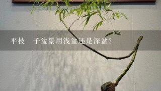 平枝栒子盆景用浅盆还是深盆？