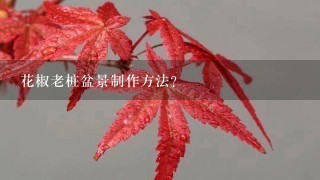 花椒老桩盆景制作方法？