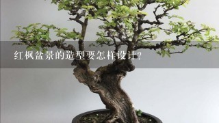 红枫盆景的造型要怎样设计？