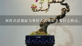 双杆式活塞缸与单杆式活塞缸各有什么特点，分别用在什么场合？