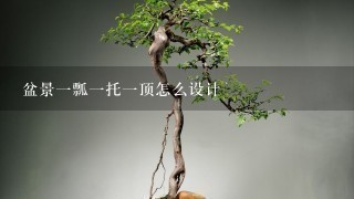 盆景1瓢1托1顶怎么设计