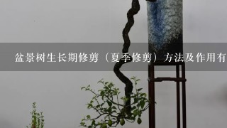 盆景树生长期修剪（夏季修剪）方法及作用有哪些