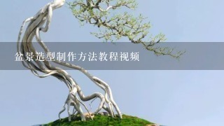 盆景造型制作方法教程视频