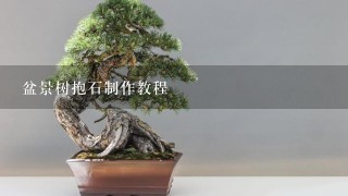 盆景树抱石制作教程