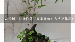 盆景树生长期修剪（夏季修剪）方法及作用有哪些