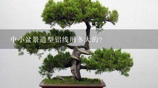 中小盆景造型铝线用多大的？