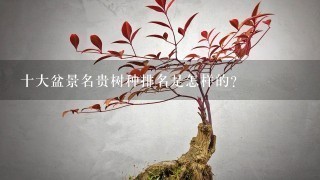 十大盆景名贵树种排名是怎样的？