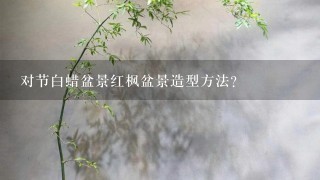 对节白蜡盆景红枫盆景造型方法？