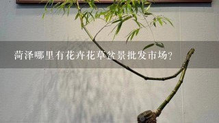 菏泽哪里有花卉花草盆景批发市场？