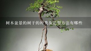 树木盆景的树干的种类及造型方法有哪些