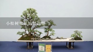 小松树盆景如何造型