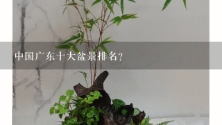 中国广东十大盆景排名？