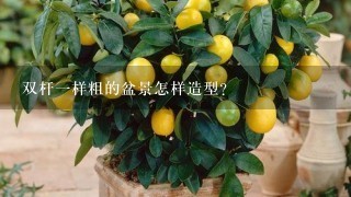 双杆1样粗的盆景怎样造型？