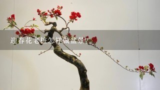 迎春花老桩怎样做盆景？