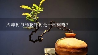 火棘树与绣花针树是1种树吗？