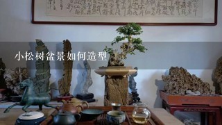 小松树盆景如何造型