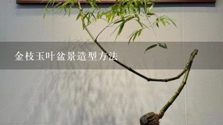 金枝玉叶盆景造型方法