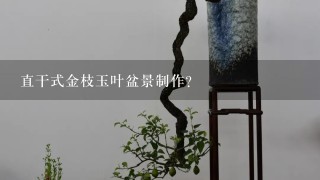 直干式金枝玉叶盆景制作？