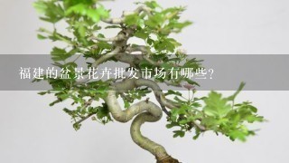 福建的盆景花卉批发市场有哪些？