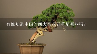 有谁知道中国的4大奇花异草是哪些吗?