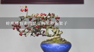 蚌埠哪有卖放盆景的那种花架子