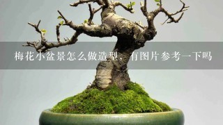 梅花小盆景怎么做造型，有图片参考1下吗