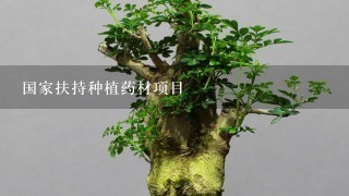 国家扶持种植药材项目