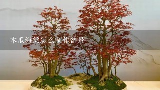 木瓜海棠怎么制作盆景