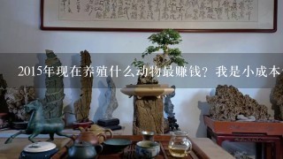 2015年现在养殖什么动物最赚钱？我是小成本创业。毕业没多久想搞些特种养殖，看市场趋势养殖什么好啊