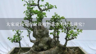 大家说说室内盆栽植物风水有什么讲究？