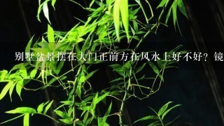 别墅盆景摆在大门正前方在风水上好不好？镜子对着房门口好不好？