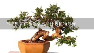 79年属羊在办公桌上摆什么植物最好