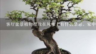 客厅盆景植物摆放在风水上有什么禁忌，家中摆放植物有哪些禁忌，需要注意什么事项？