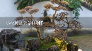 小松树盆景怎样制作