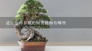 适宜室内养殖的树类植物有哪些