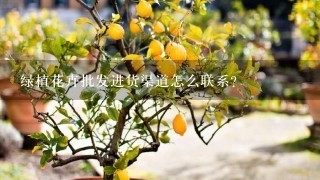 绿植花卉批发进货渠道怎么联系？