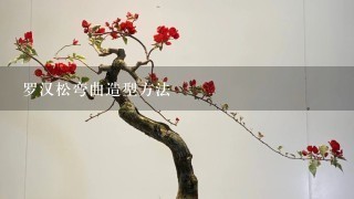 罗汉松弯曲造型方法