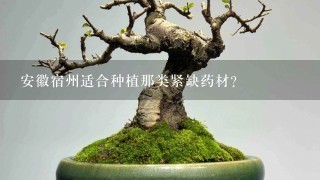 安徽宿州适合种植那类紧缺药材？