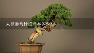 大棚葡萄种植成本多少？