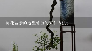 梅花盆景的造型修剪的5种方法？