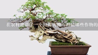 在农村建造了1个恒温大棚，种植哪些作物的收益比较