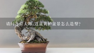 请问各位大师,这盆黄栌盆景怎么造型?