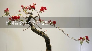 松树盆景什么季节造型？