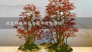 河北有哪些花卉苗木批发市场?