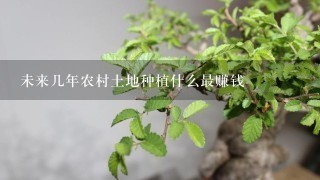 未来几年农村土地种植什么最赚钱